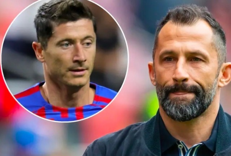 导致冲动行 导致冲动行