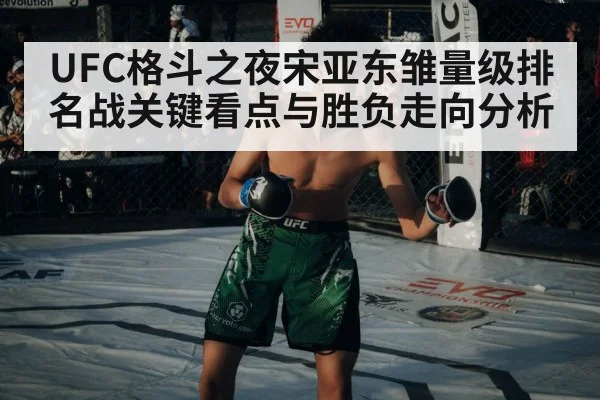 MMA fighter octagon